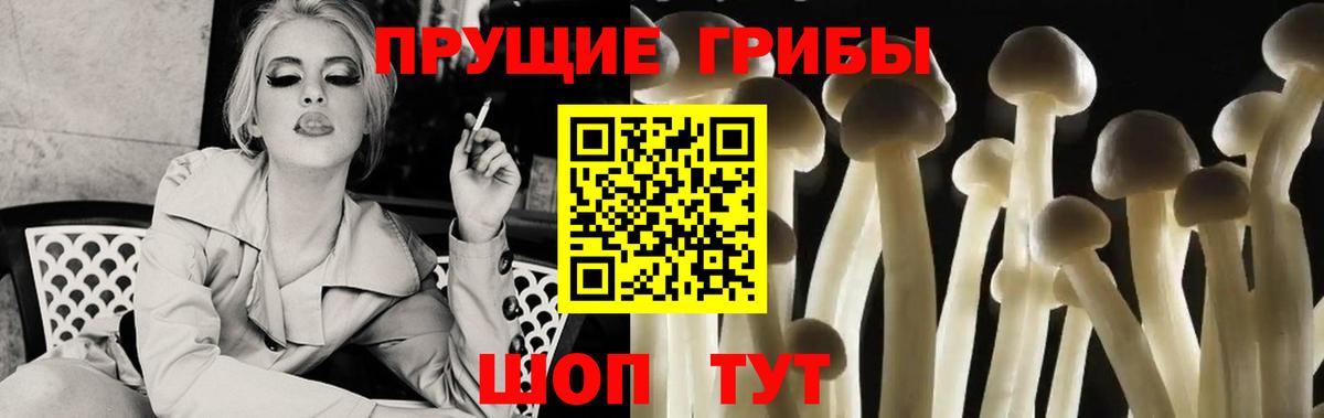 Мурино  Галлюциногенные грибы мухоморы  цены наркотик  Вход с VPN 